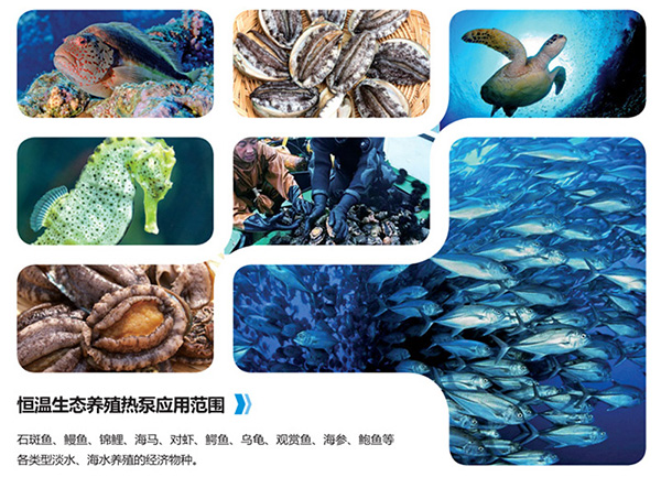 恒溫養(yǎng)殖熱泵機(jī)組